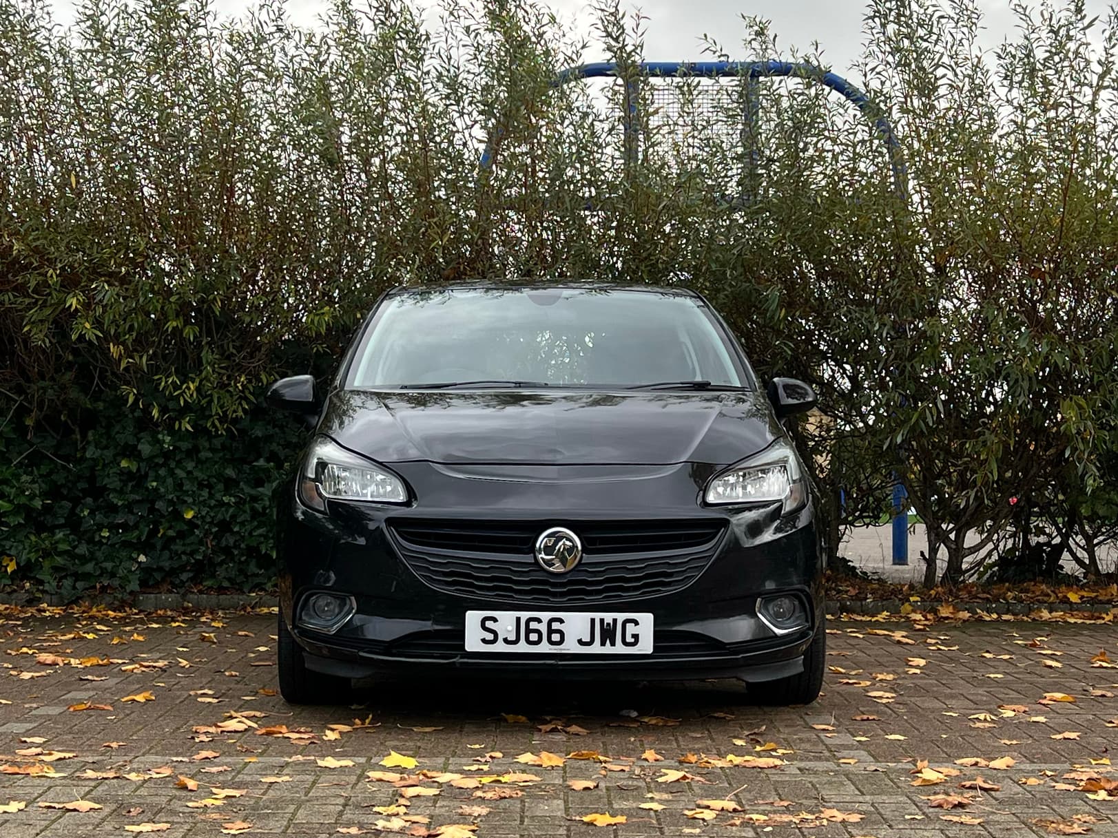 Car image 10